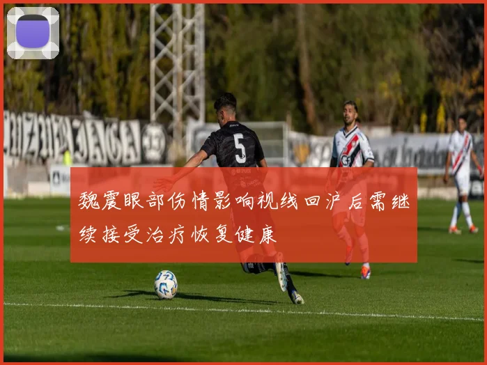 魏震眼部伤情影响视线回沪后需继续接受治疗恢复健康